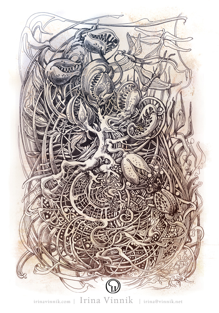 Хищники и жетрвы