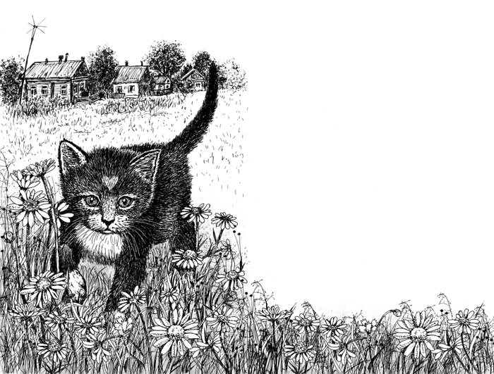 Разворот  к книге "Долгая дорога домой" издательства Феникс-Премьер