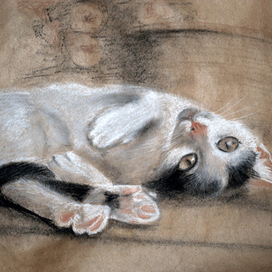 Пастель "Мурка"