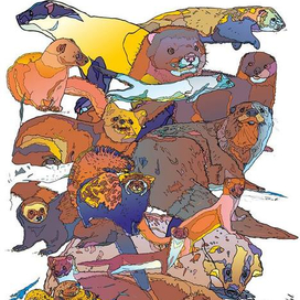 Все куньи России