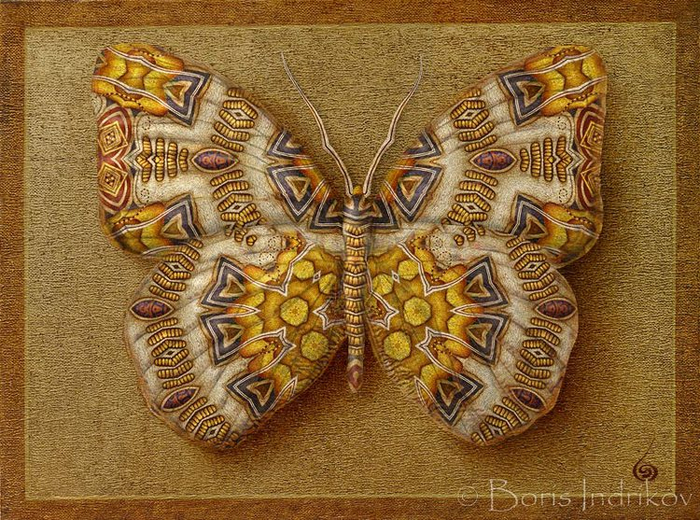 Symbol butterfly 11