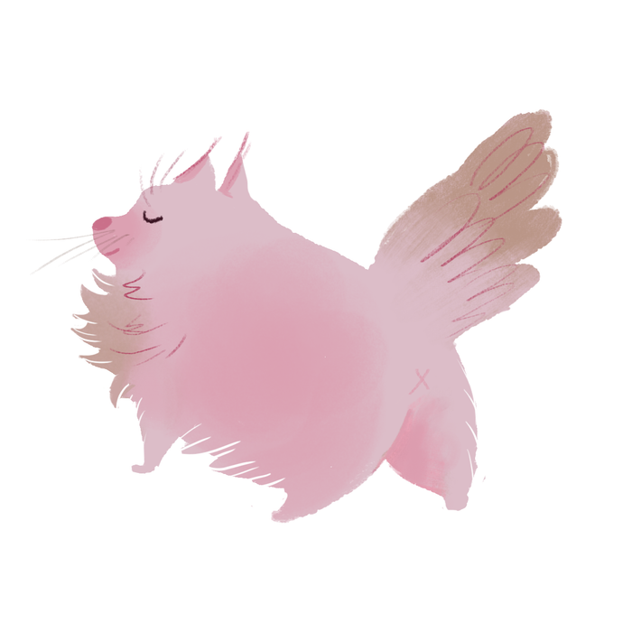 Пушистый кот