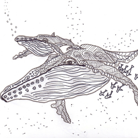 кит с китенком