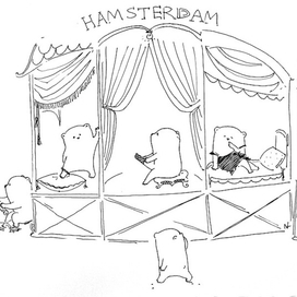 Hamsterdam. Ночь.