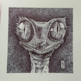 Инопланетное 👽