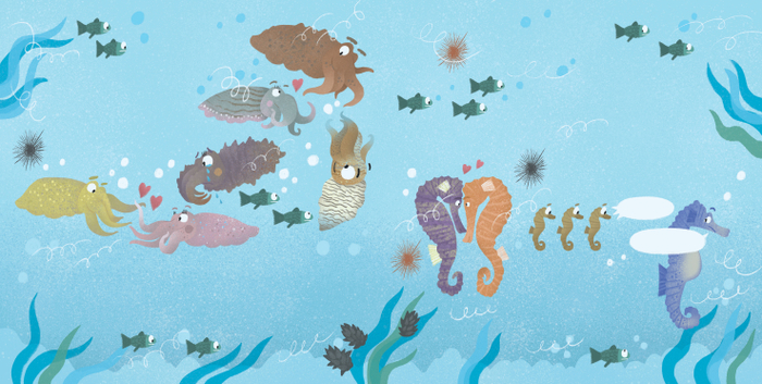 Каракатицы и морские коньки