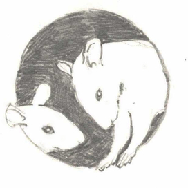 Мыши в сыре 2