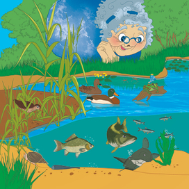 Иллюстрация к книге Приключения Росинки