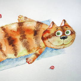 Кот МатрАскин