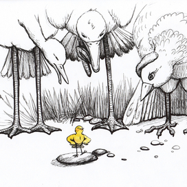 желтый удалец