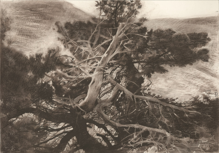 На верхнем плато Чатыр-Дага