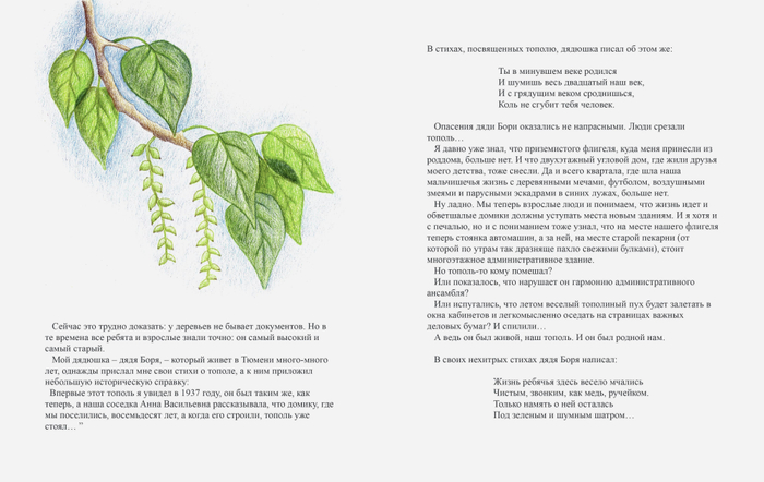Тополиная рубашка
