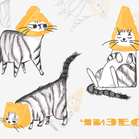 Cheese cat