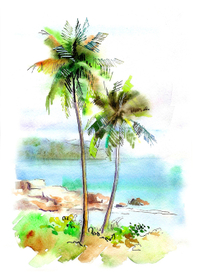 hallo from Vietnam! 4