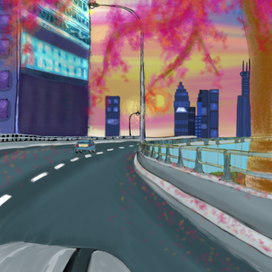 Долгая дорога