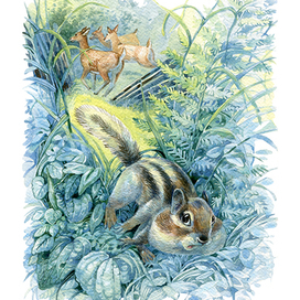 Пришвин "Зверь бурундук"