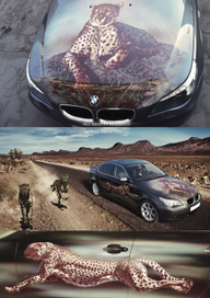 аэрография гепарды