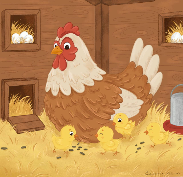 Курочка с цыплятами в курятнике 