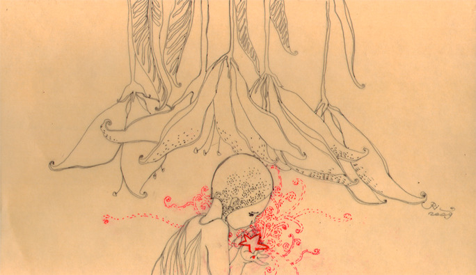 Лилейная нежность.