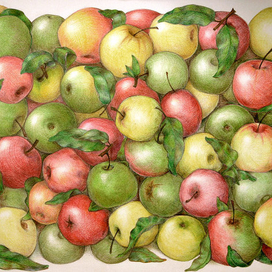Яблоки