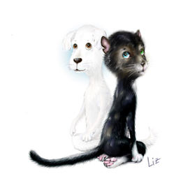  чёрный котёнок и белый щенок чего-то замышляют