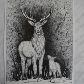 Северные олени