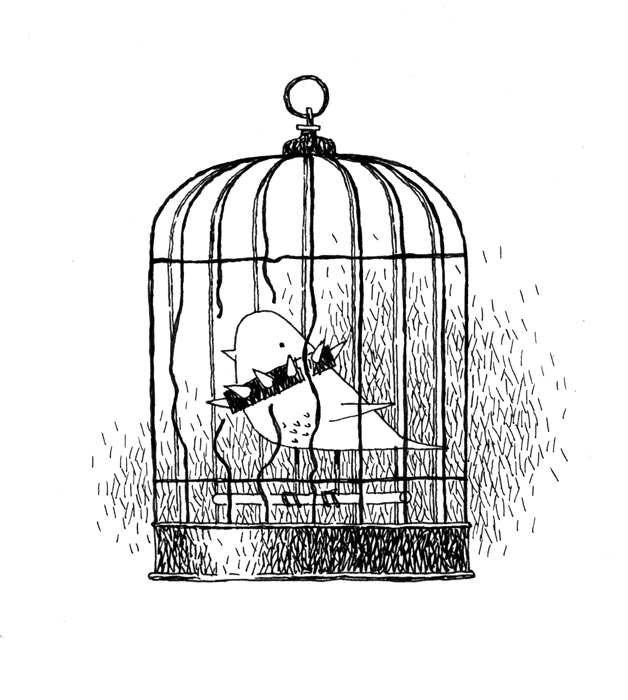 "О чём поют канарейки"