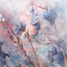 Зимние цветы. Акварель