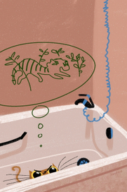 Квартирный охотник Сашка