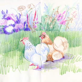 Летний двор