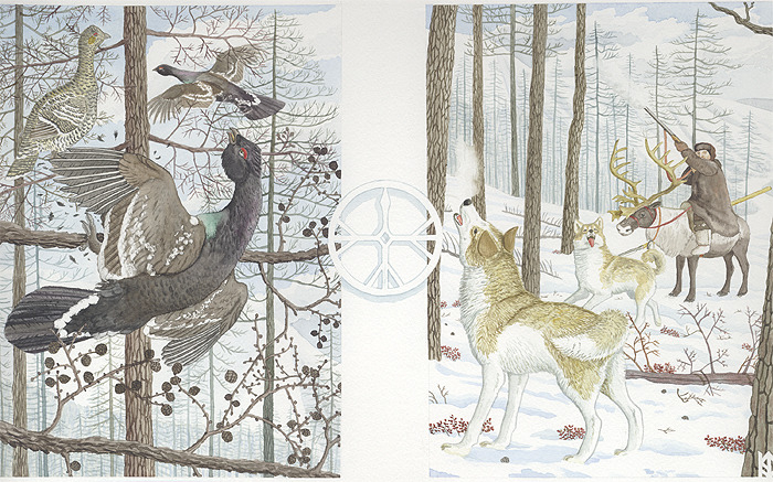 Охота на каменного глухаря.