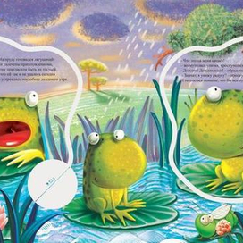 лягушачий концерт