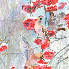 Свиристели