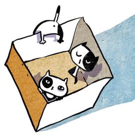 возьмите котенка