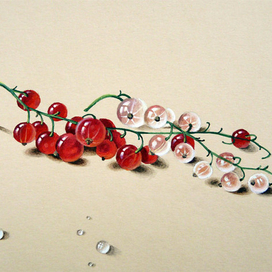 Красная смородина