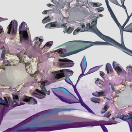 ЛЕДЯНЫЕ ЦВЕТЫ