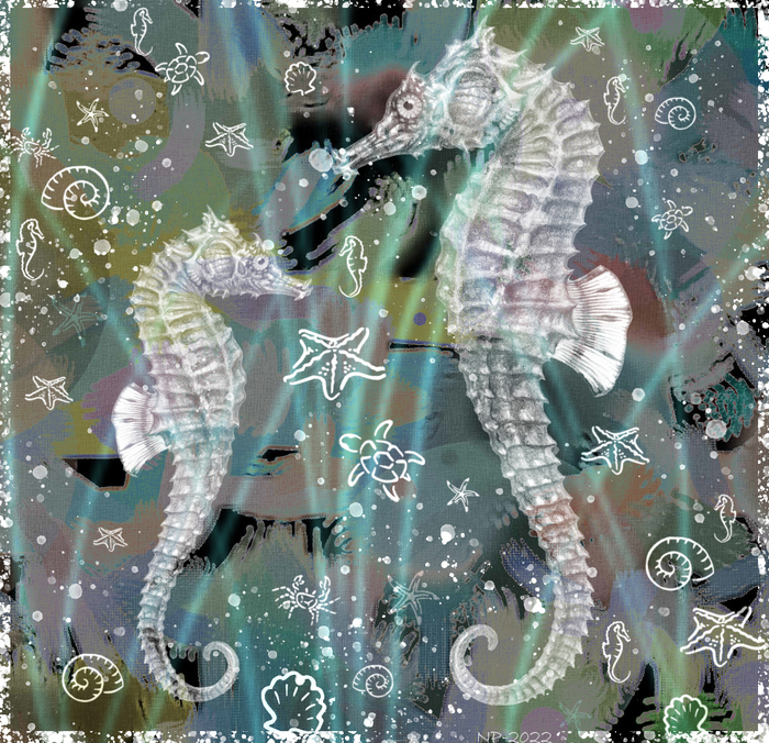 Морские коньки