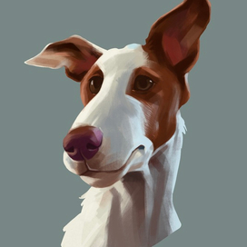 Рисунок собаки