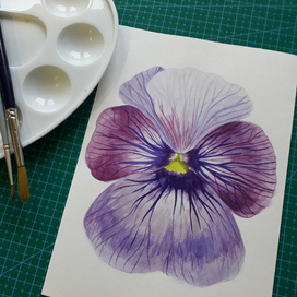 Анютины глазки в моем исполнении