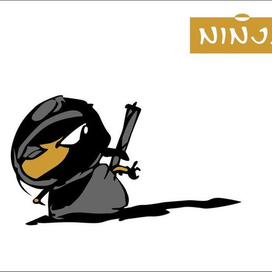 NINJA_КУНОИТИ(БОЕВАЯ БАБА)