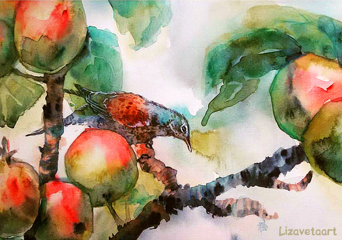 Дрозд. Фрагмент