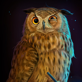 Сова-иллюстратор