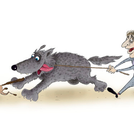 Утренняя прогулка