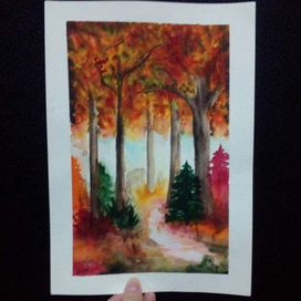 Forest 