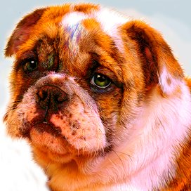 Пёс  (рабочий процесс, 1 этап обработки)