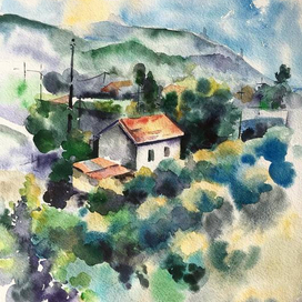 Оливковые поля в Тадже