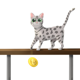 Озорной котик