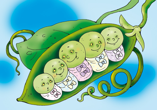 иллюстрацияк сказке  "ПЯТЕРО  из СТРУЧКА"