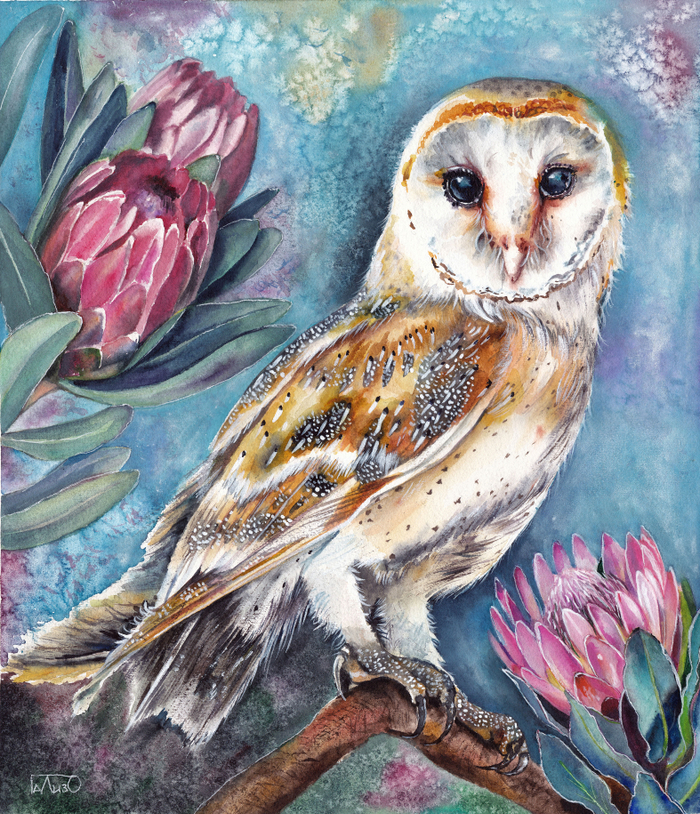 Сова-сипуха в королевских протеях