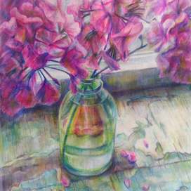 Без названия